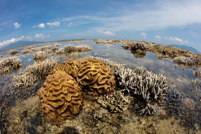 Private Tour Siao Liuchiu-Coral Island From Kaohsiung - Start Time and Confirmation