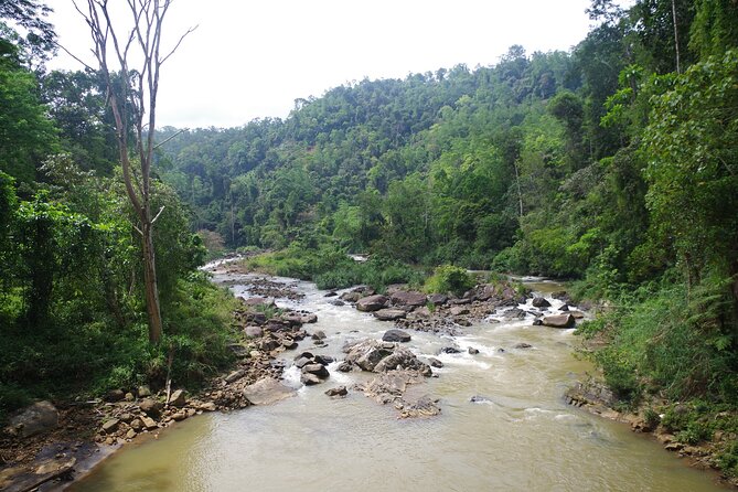 Private Tour Sinharaja Rain Forest From Colombo - Inclusions