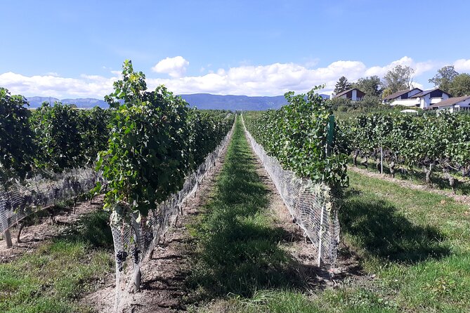 Private Tour Swiss Fields Farm and Lake Experience Near Geneva - Pricing and Guarantees