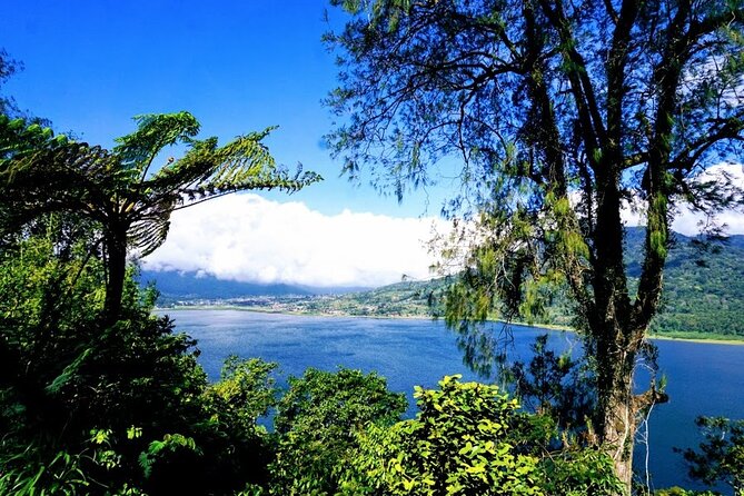 Private Tour the Beauty of Banyumala Waterfall - The Sum Up