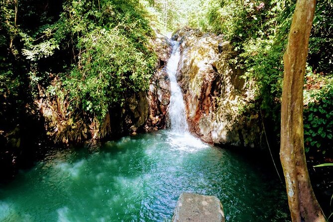 Private Tour The Beauty of Waterfall And Jatiluwih Rice Terrace - Inclusions