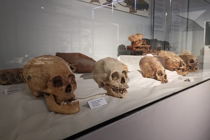 Private Tour to Ica Regional Museum