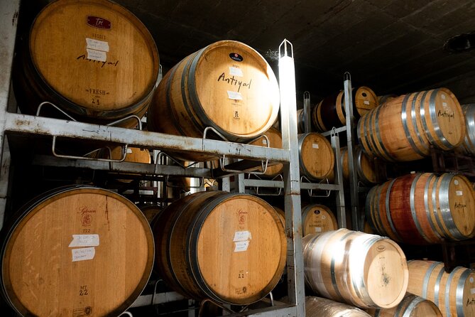 Private Tour to Maipo or Casablanca Boutique Wineries - Local Cuisine Offerings