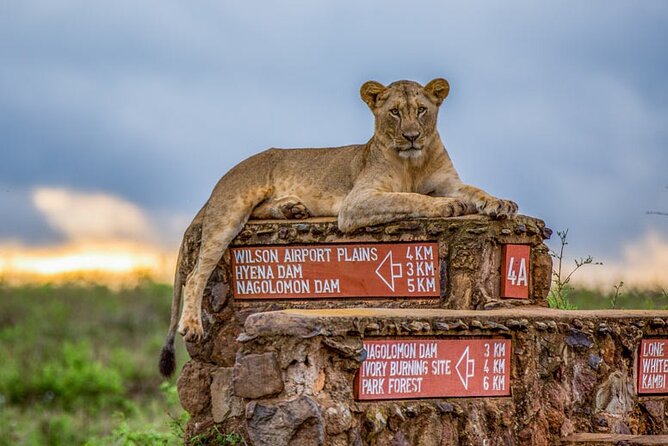 Private Tour to Nairobi National Park and the Karen Blixen Museum - Meeting and Pickup