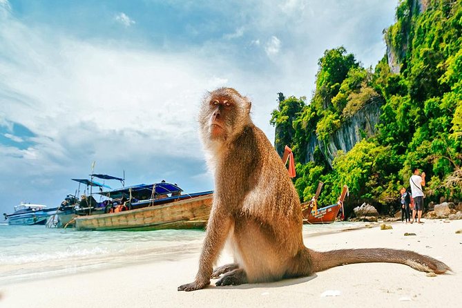 Private Tour to Phi Phi & Maya Bay & Bamboo Islands - Health and Fitness Requirements