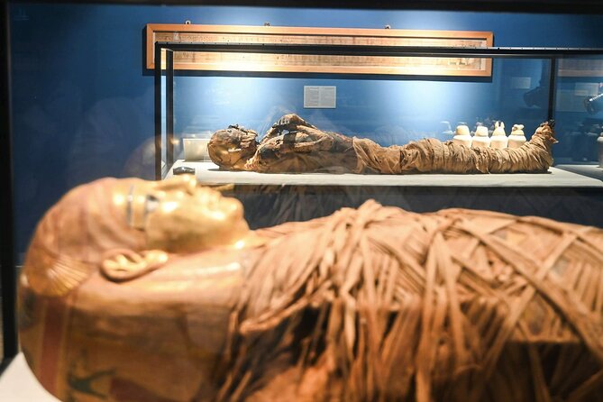 Private Tour to Pyramids & The Egyptian Museum With Lunch - Tour Operator Details