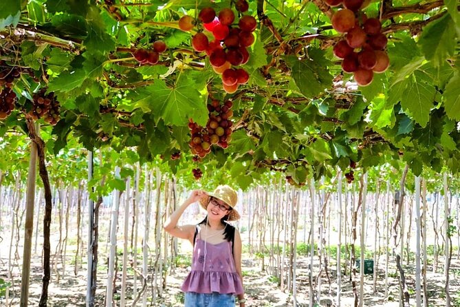 Private Tour To Tanyoli Ninh Thuan From Nha Trang - Additional Tips