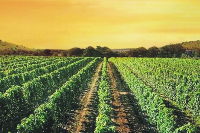 Private Tour to Tikvesh Wine Region With Wine Tasting - Services Included