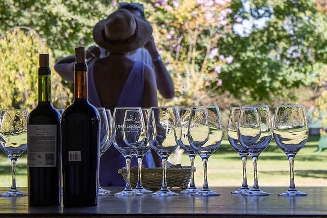 Private Tour to Undurraga Vineyard From Santiago - Included Amenities