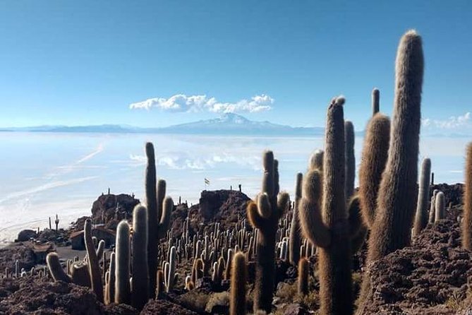 Private Tour to Uyuni Salt Flats With Pick up From Hotels in Colchani - The Sum Up