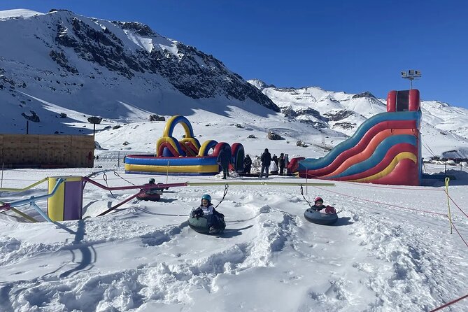Private Tour to Valle Nevado and Farellones From Santiago - Accessibility Features