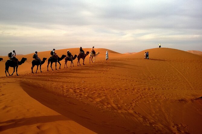 Private Tour Wahiba Dunes and Wadi Bani Khalid