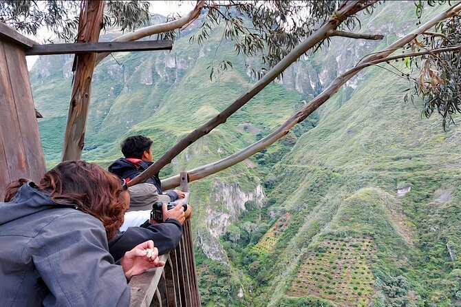 Private Tour Watching the Spectacled Bear