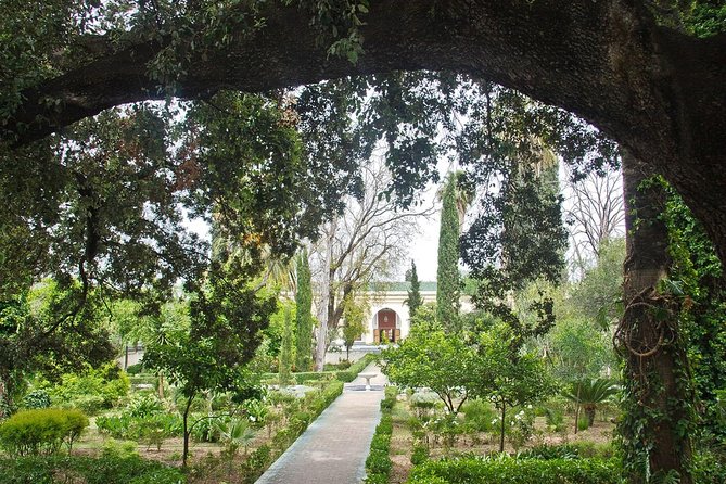 Private Tour:Fez in One Day Sightseeing Tour Including Blue Gate, The Tannery.. - Pricing Details
