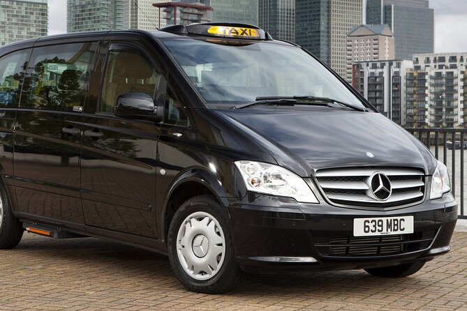 Private Transfer 1 Way From Disneyland Paris to Paris City or Hotel - Drop-off Options in Paris