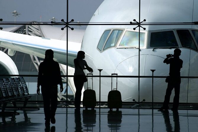 Private Transfer From Cairo Airport to Hotels in Cairo - Pickup and Drop-off Process