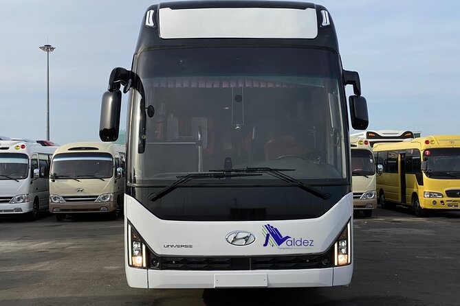 Private Transfer From or to Punta Cana Airport to Hotels in Bávaro - Miscellaneous Details and Responses