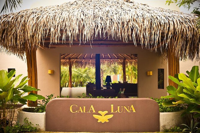 Private Transfer From San Jose Airport To Tamarindo - Private Transportation Details