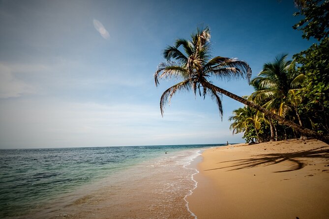 Private Transfer From San Jose City To Cahuita Costa Rica - Booking Options