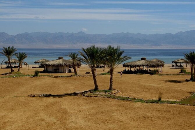 Private Transfer From Taba Crossing Border Passage to Dahab City - One Way - Expectations