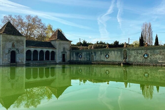 Private Transfer From the Airport to Your Accommodation! - Accessibility Features