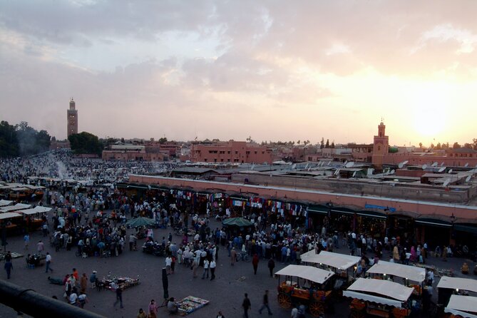 Private Transfer in Marrakech With Chauffeur - Vehicle and Equipment