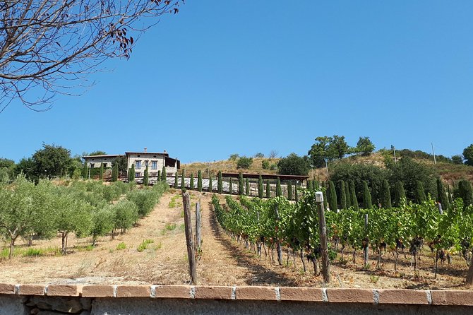 Private Transfer Siena and Province to Sorrento or Viceversa - Pickup and Drop-off Locations