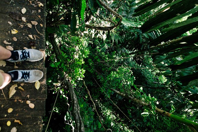 Private Transport Arenal to Monteverde - Comfort and Amenities