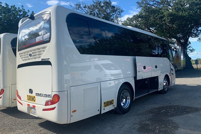Private Transportation From the Airport to Playa Langosta - Pickup Process Explained
