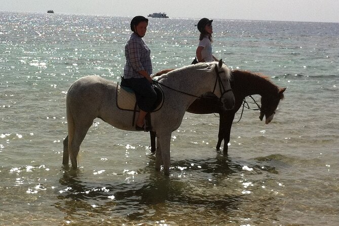 Private Transportation To Adventure Safari By Horse In Sharm El Sheikh - Safety and Accessibility