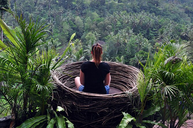 Private Ubud Tour and Volcano Kintamani Trip - Pickup Points and Times