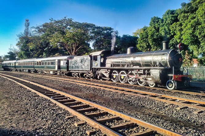 Private Walking Safari in Victoria Falls Town, Private Guide - Booking Information