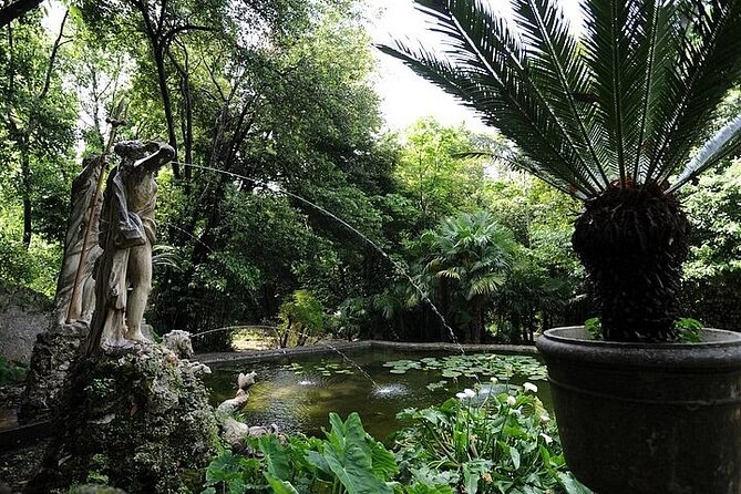 Private Walking Tour in Botanical Garden Trsteno With Photo Stop - Transportation and Pickup Details