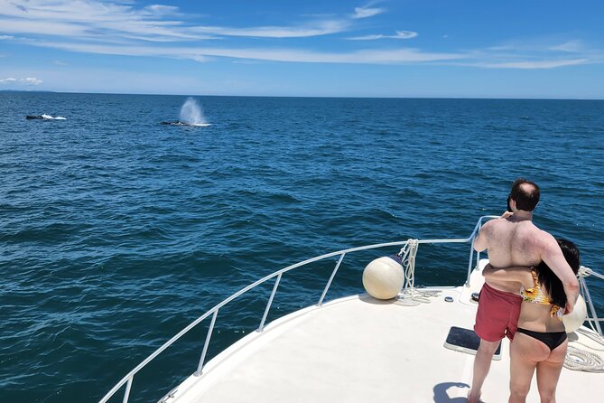 Private Whale Watching Tour at the Pearl Islands on Private Yacht - Inclusions and Amenities