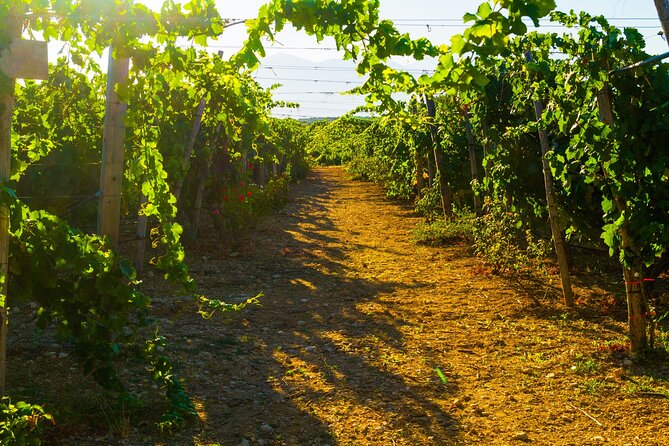 Private Wine Tasting - Pricing and Guarantee