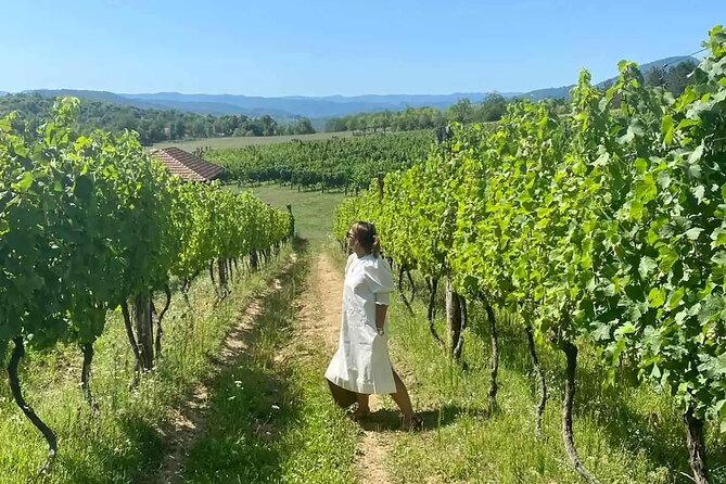 Private Wine Tasting and Tradition Tour in Banja Luka - Transportation and Pickup Details
