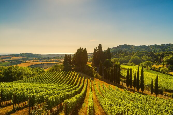Private Wine Tour in the Tuscan Countryside From Florence - Lunch Details
