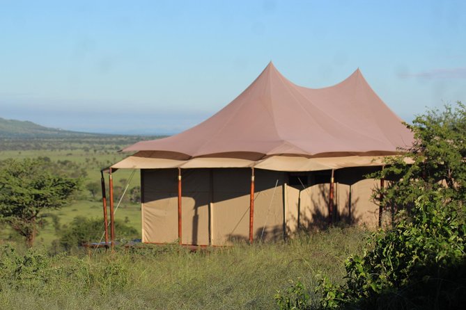 Pumba Tanzania Safari - Additional Information