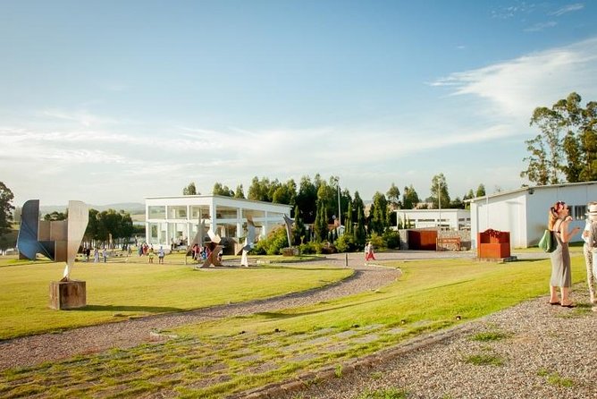 Punta Del Este Special Art Tour - Transportation Details