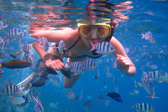 Punta Leona Beach Day - Reviews and Rating