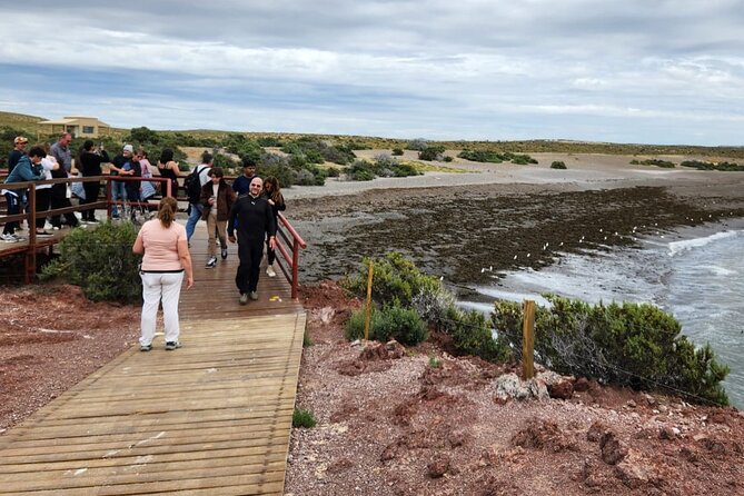 Punta Tombo Shore Tour at Argentina - Accessibility Features