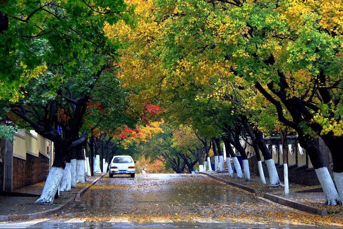 Qingdao Private Tour: City Highlights and Laoshan Mountain With Lunch+Cable Car - Cancellation Policy