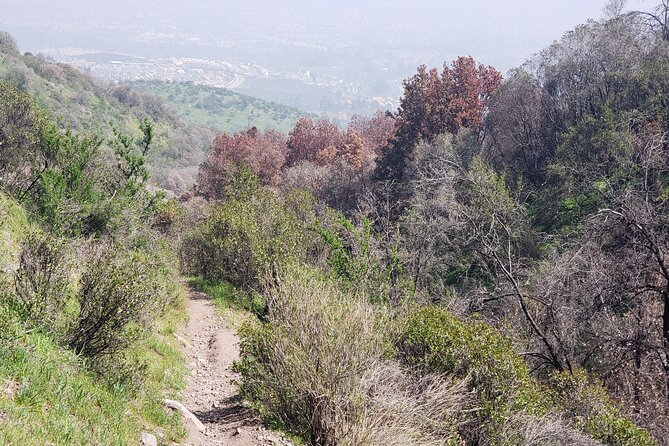Quebrada De Macul 6 Hours Knowing the Natural Environment of Chile - What To Expect