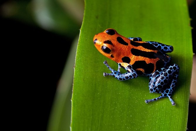 Rainforest Lovers 9D/8N Vacation Package - Accessibility and Special Needs