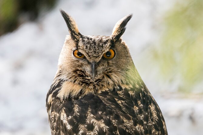 Ranua Wildlife Park in Summer and Autumn From Rovaniemi - Booking Details