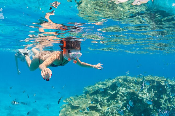 Ras Mohammed and White Island Luxurious Cruise With Lunch - Snorkeling Experience