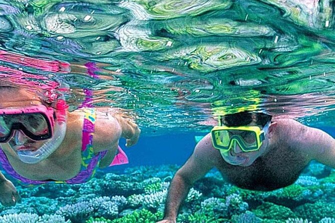 Ras Muhammad National Park: Snorkeling Tour With White Island - Reservation Process and Payment Options
