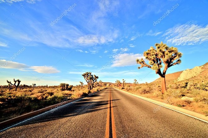 Ras Muhammed National Park Half Day by Bus With City Tour - Sharm El Sheikh - Pickup Details