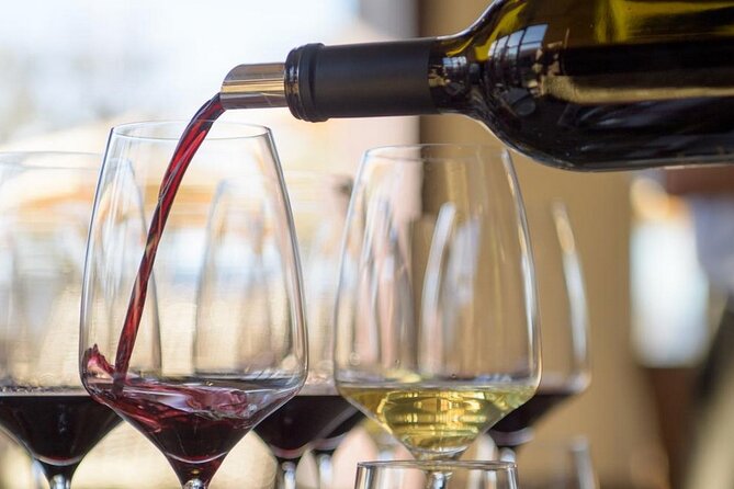 Real Wine and Food Tasting Experience in Palermo - Important Considerations