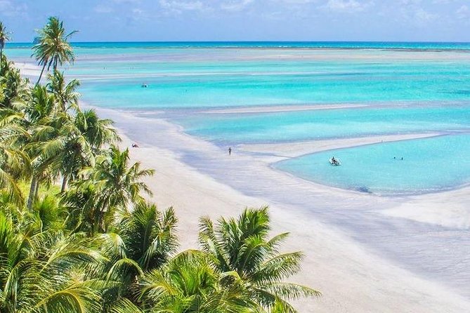 Recife X Maragogi Airport: Private Transfer by Romulo Turismo - Contact and Confirmation